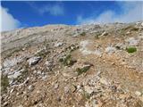 Passo di Costalunga / Karerpass - Cima Latemar / Latemarspitze